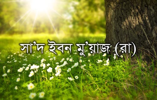 সা’দ ইবন মু’য়াজ (রা)