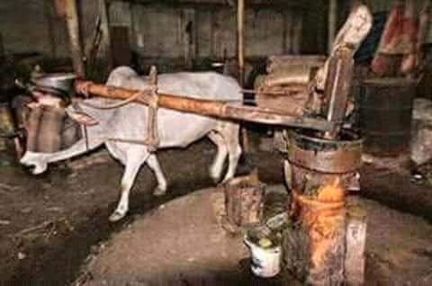 একজন শায়েখ তার খাদেমকে জিজ্ঞাসা করল,,