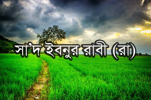 সাদ ইবনুর রাবী (রা)