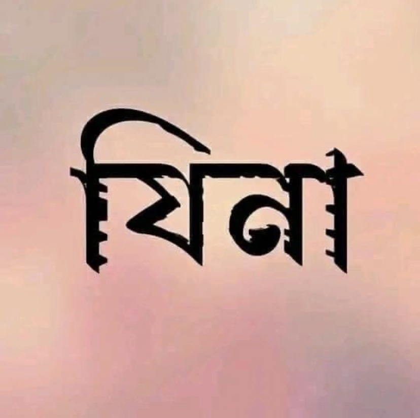 শুধুই অবৈধ ভাবে মেলামেশা করাকেই যিনা বলা হয়?