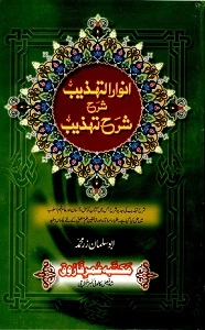 Anwaar ut Tahzeeb Urdu Sharh Sharh ut Tahzeeb انوار التھذیب اردو شرح شرح تھذیب